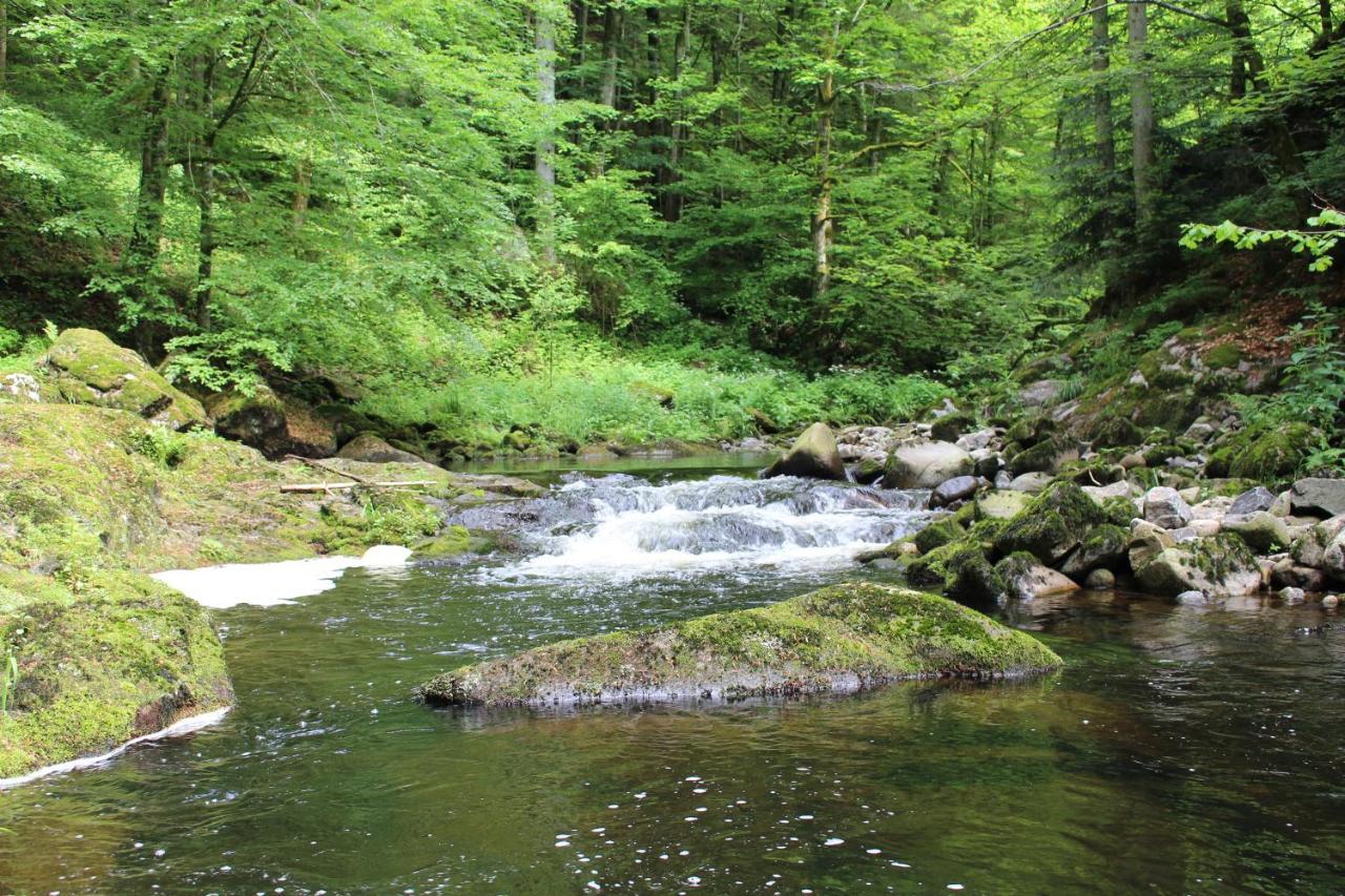 Neukirchen vorm Wald Ferienwohnung Hofleben Reiner מראה חיצוני תמונה